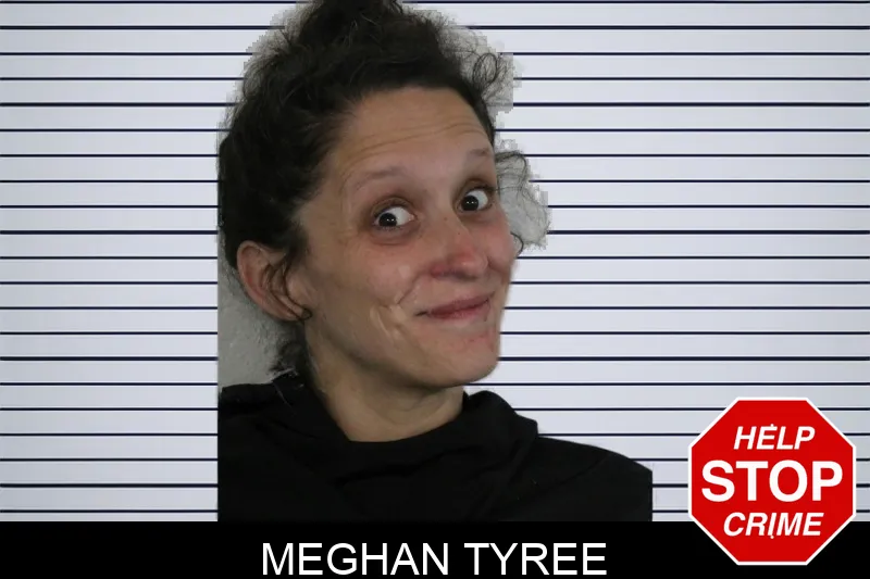 Meghan Tyree Mugshots
