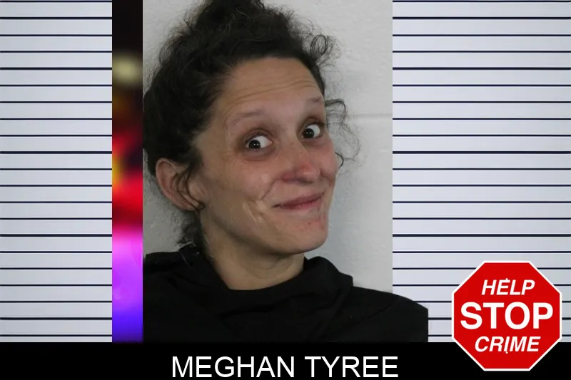 Meghan Tyree Mugshots