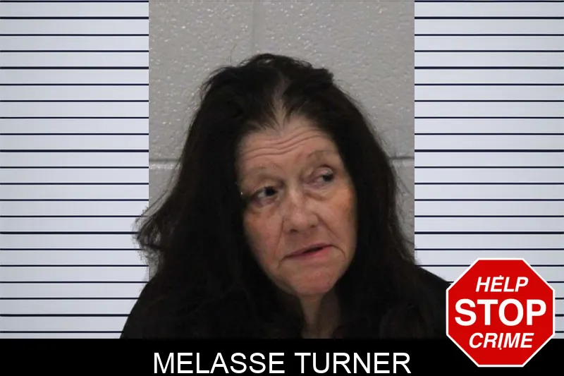 Melasse Turner mugshot – Carroll County , Georgia Melasse Turner mugshot