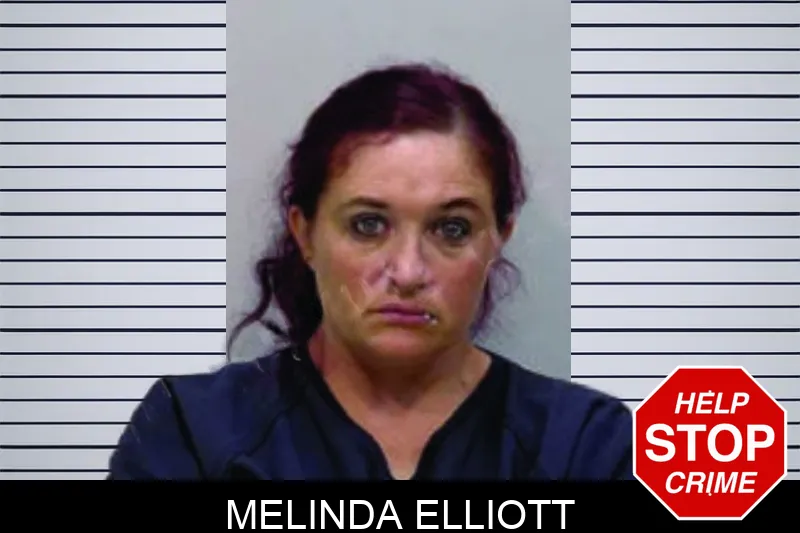Melinda Elliott mugshot