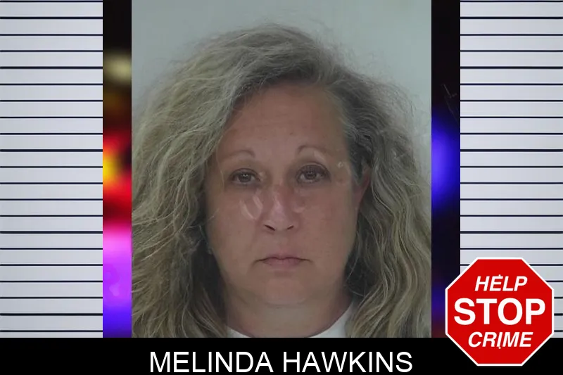 Melinda Hawkins mugshot – Fayette County , Georgia Melinda Hawkins mugshot