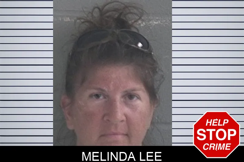 Melinda Lee Mugshots