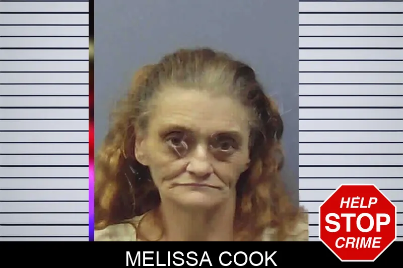 Melissa Cook Mugshots
