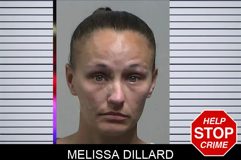 Melissa Dillard Mugshots