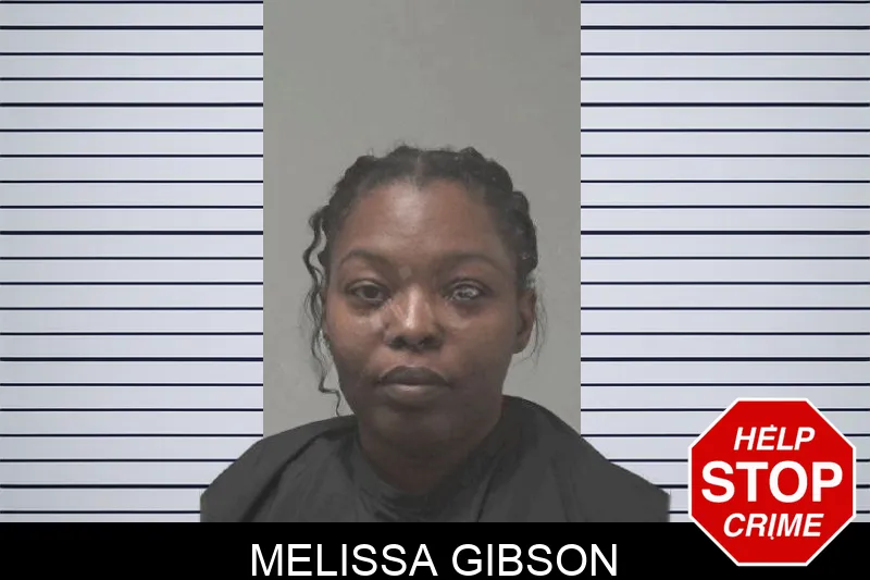 Melissa Gibson mugshot