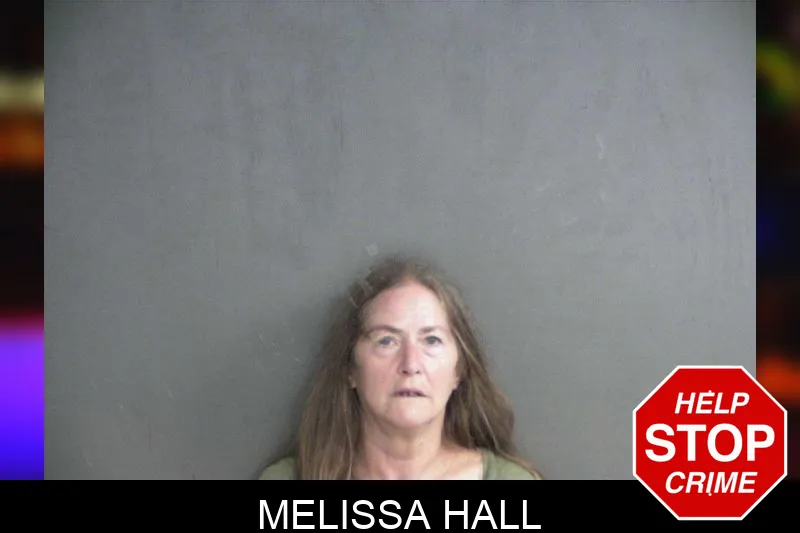 Melissa Hall Mugshots