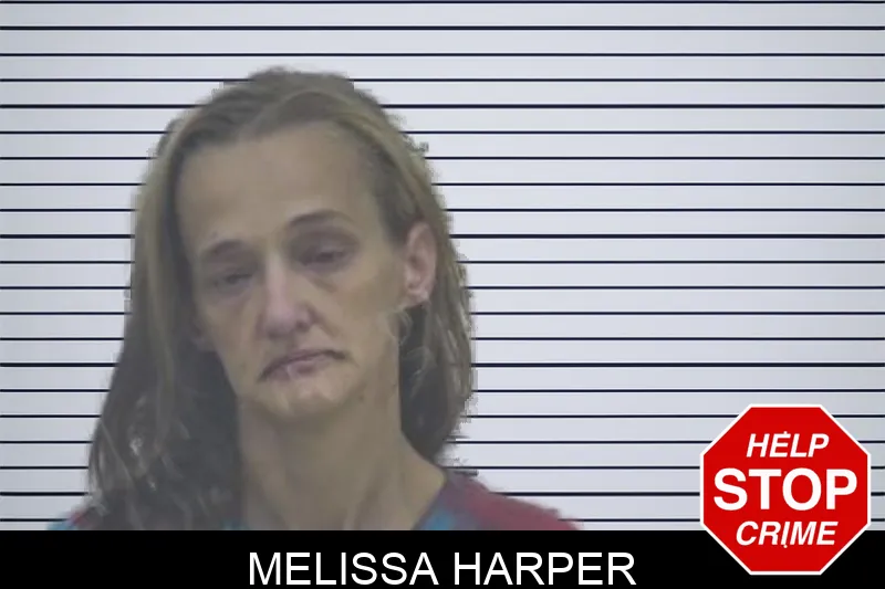 Melissa Harper Mugshots