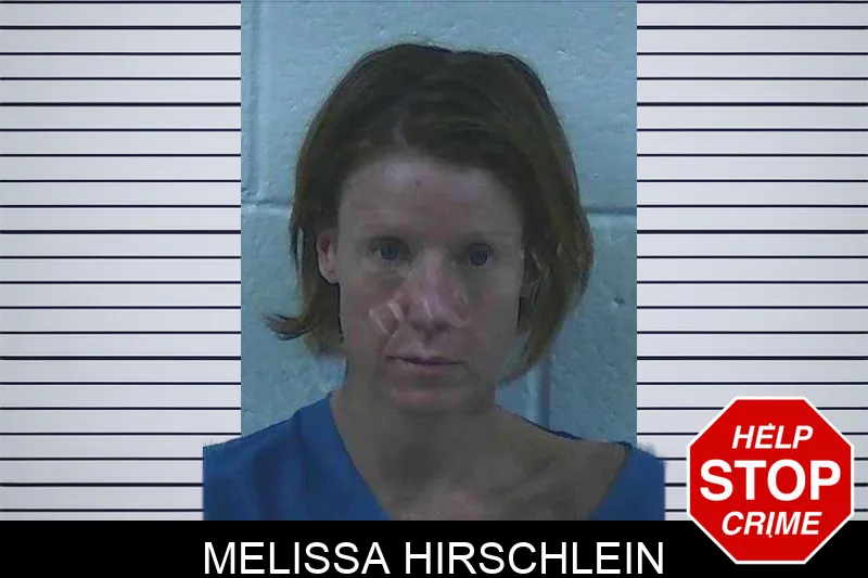 Melissa Hirschlein Mugshots
