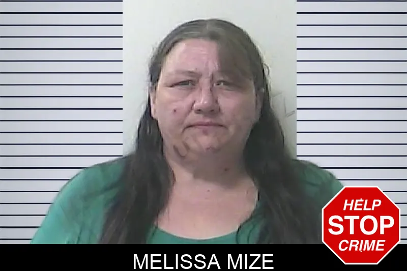 Melissa Mize Mugshots