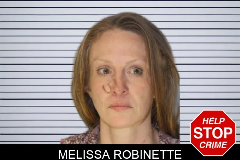 Melissa Robinette mugshot – Hall County , Georgia Melissa Robinette