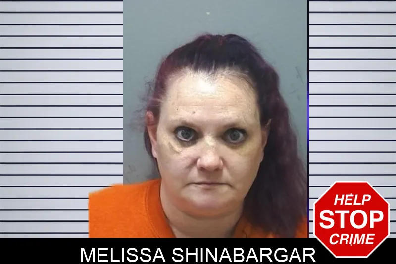 Melissa Shinabargar mugshot