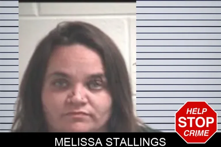 Melissa Stallings mugshot – Henry County , Georgia Melissa Stallings