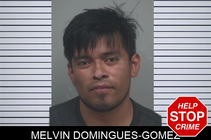 Melvin Domingues-Gomez mugshot