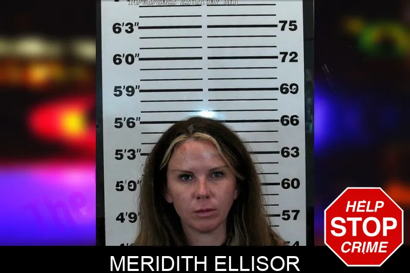 Meridith Ellisor Mugshots