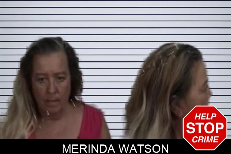 Merinda Watson Mugshots
