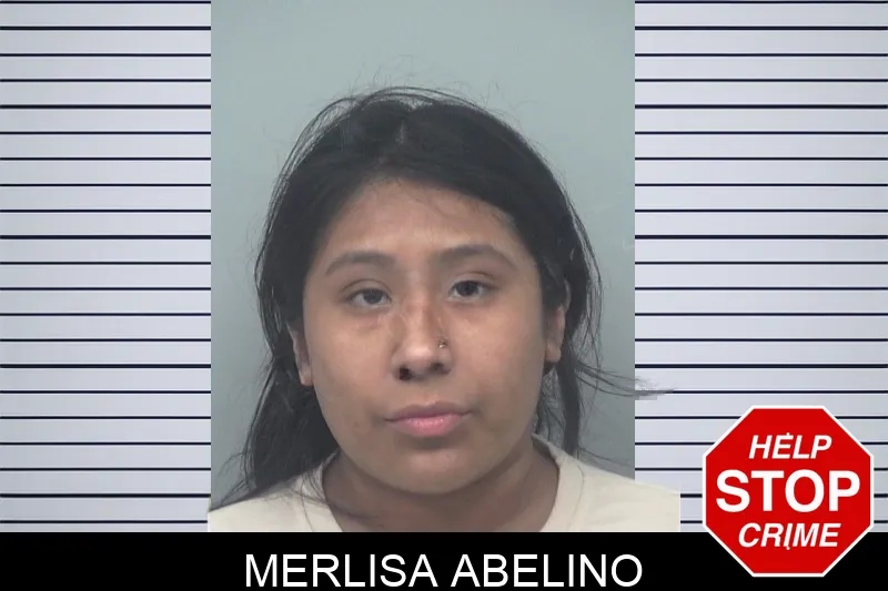 Merlisa Abelino Mugshots