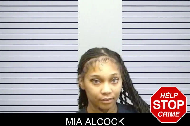 Mia Alcock mugshot – Fulton County , Georgia Mia Alcock mugshot