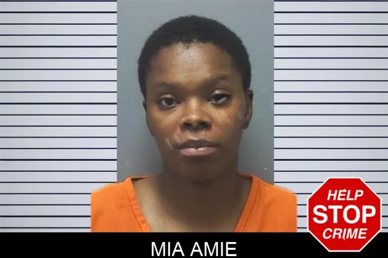 Mia Amie mugshot – Cherokee County , Georgia Mia Amie