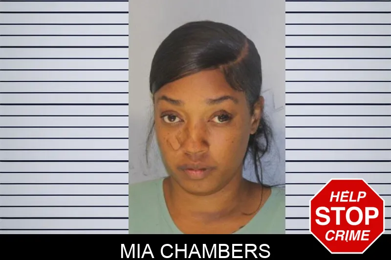 Mia Chambers mugshot