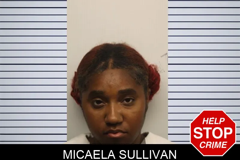 Micaela Sullivan Mugshots