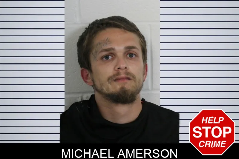 Michael Amerson mugshot