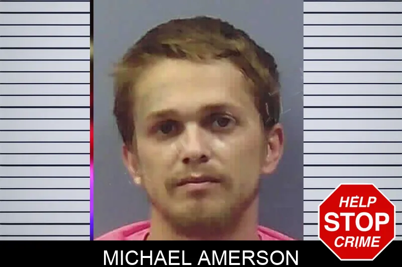 Michael Amerson Mugshots
