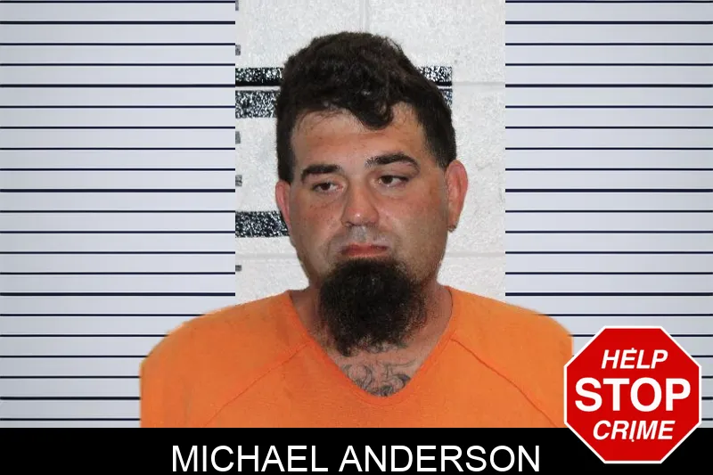 Michael Anderson Mugshots