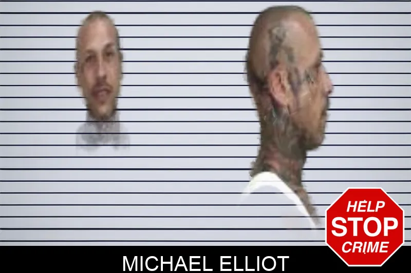 Michael Elliot Mugshots