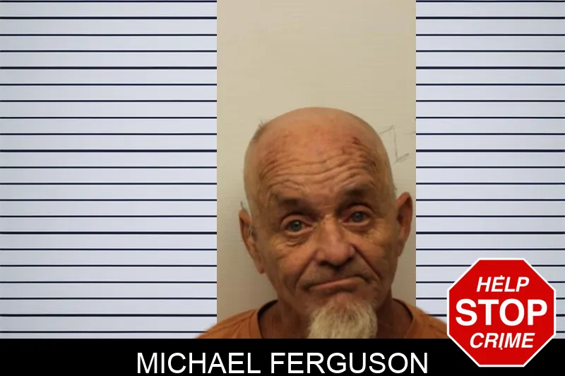 Michael Ferguson mugshot – Chatham County , Georgia Michael Ferguson mugshot