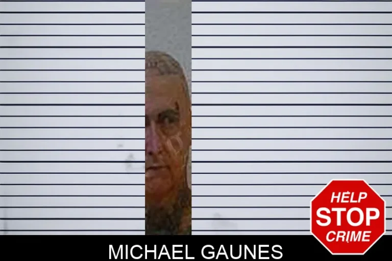 Michael Gaunes