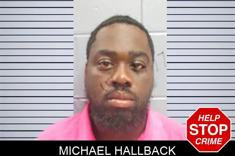 Michael Hallback Mugshots