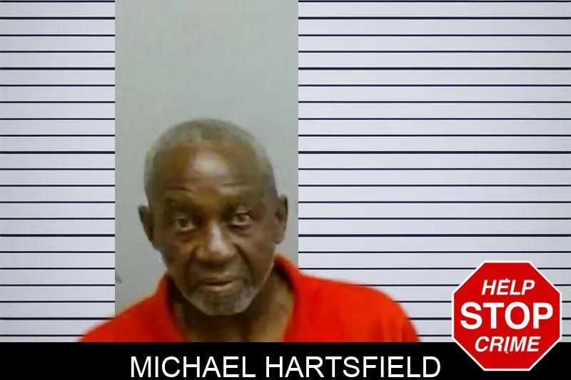 Michael Hartsfield mugshot