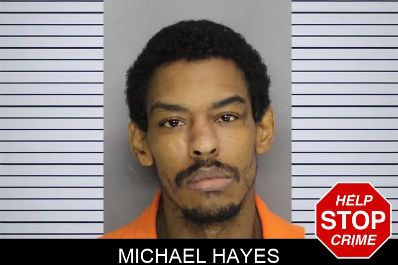 Michael Hayes Mugshots