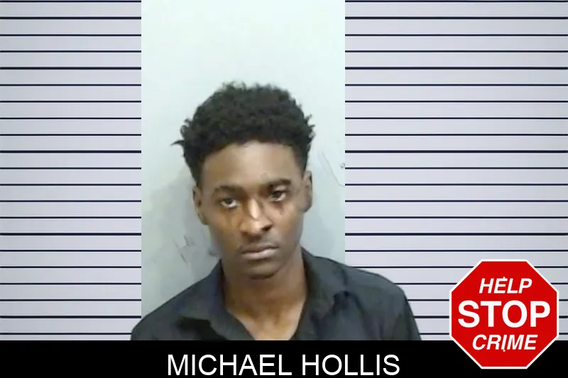 Michael Hollis mugshot