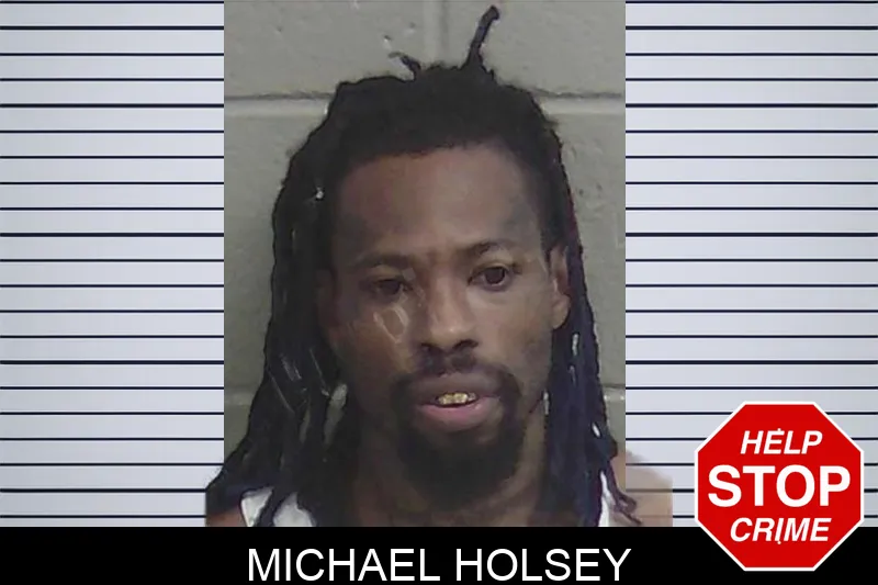 Michael Holsey Mugshots