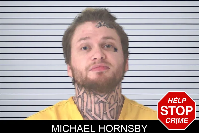 Michael Hornsby mugshot