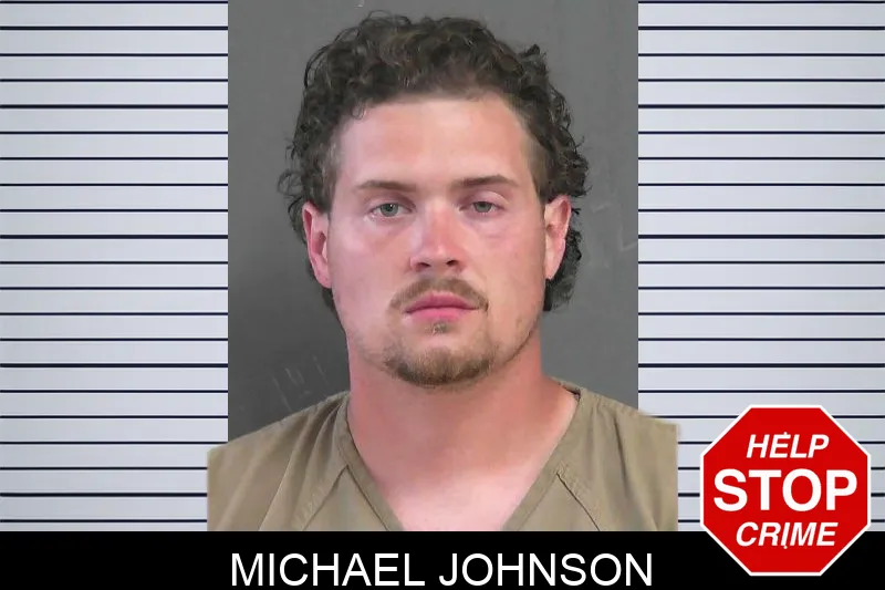 Michael Johnson Mugshots