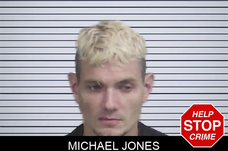 Michael Jones mugshot – Wayne County , Georgia Michael Jones mugshot