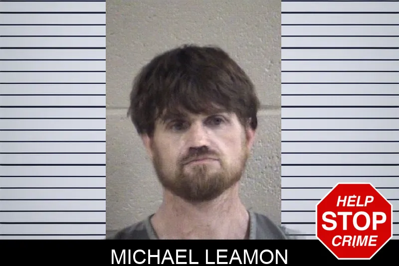 Michael Leamon Mugshots