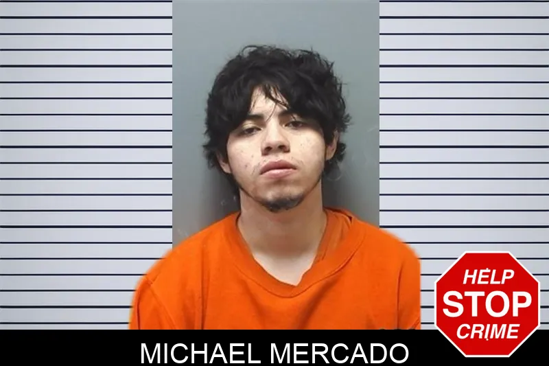 Michael Mercado Mugshots