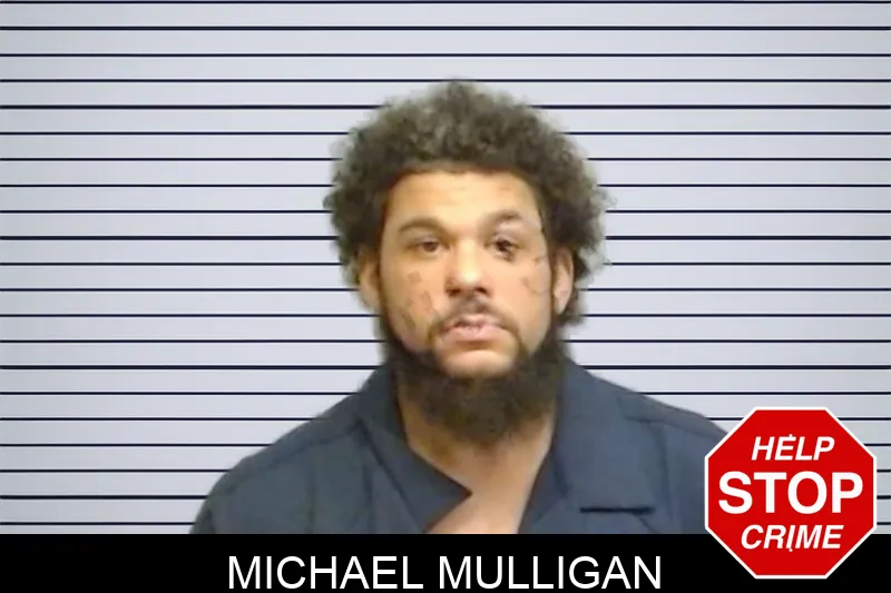Michael Mulligan Mugshots