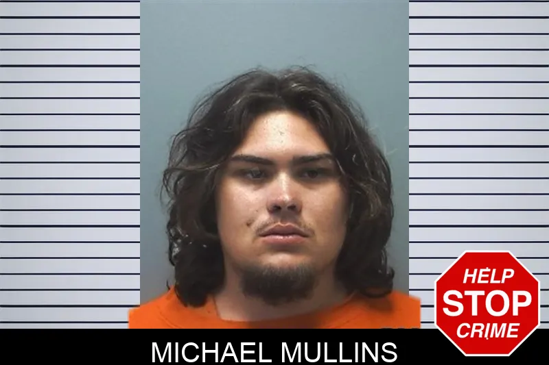 Michael Mullins Mugshots
