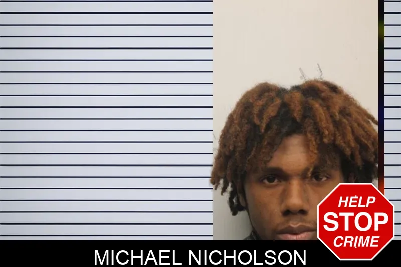Michael Nicholson Mugshots