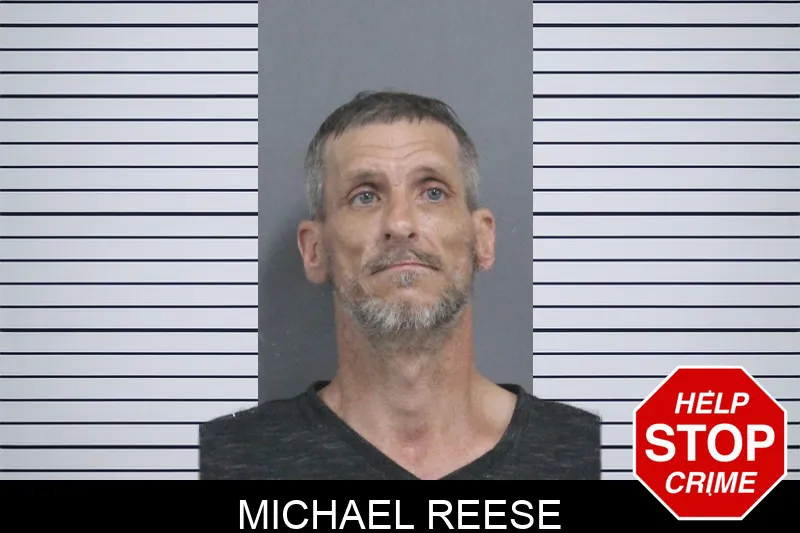 Michael Reese mugshot