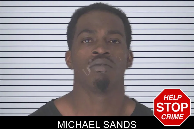 Michael Sands mugshot