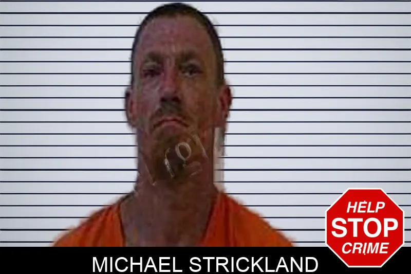 Michael Strickland Mugshots