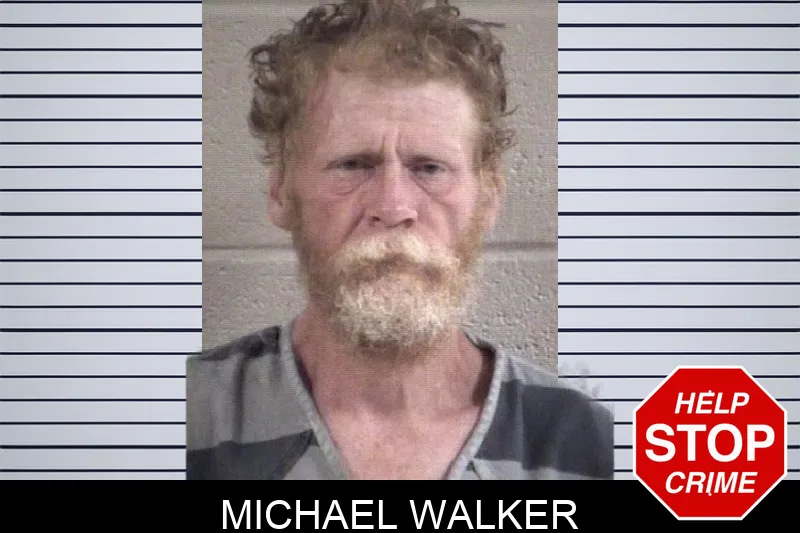 Michael Walker Mugshots