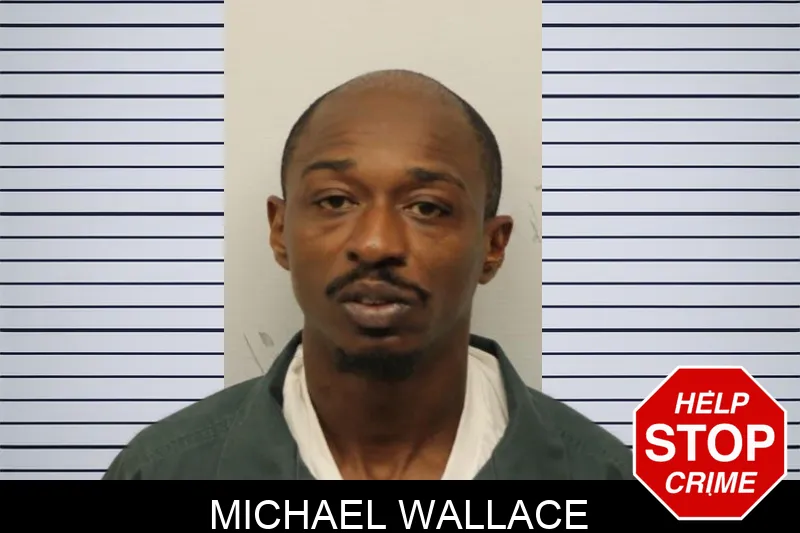 Michael Wallace Mugshots