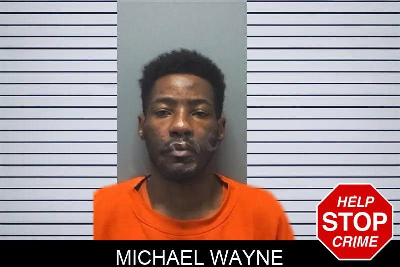 Michael Wayne Mugshots
