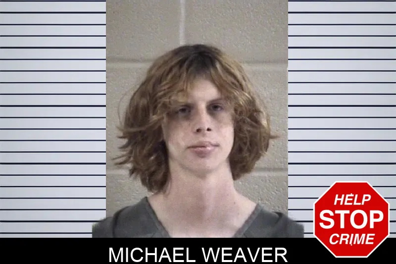 Michael Weaver mugshot